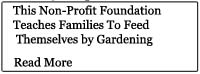 non profit ad