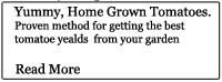 Tomatoes