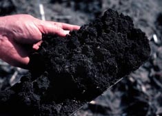 Soil